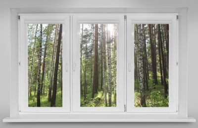 Energy-Efficient Vinyl Windows